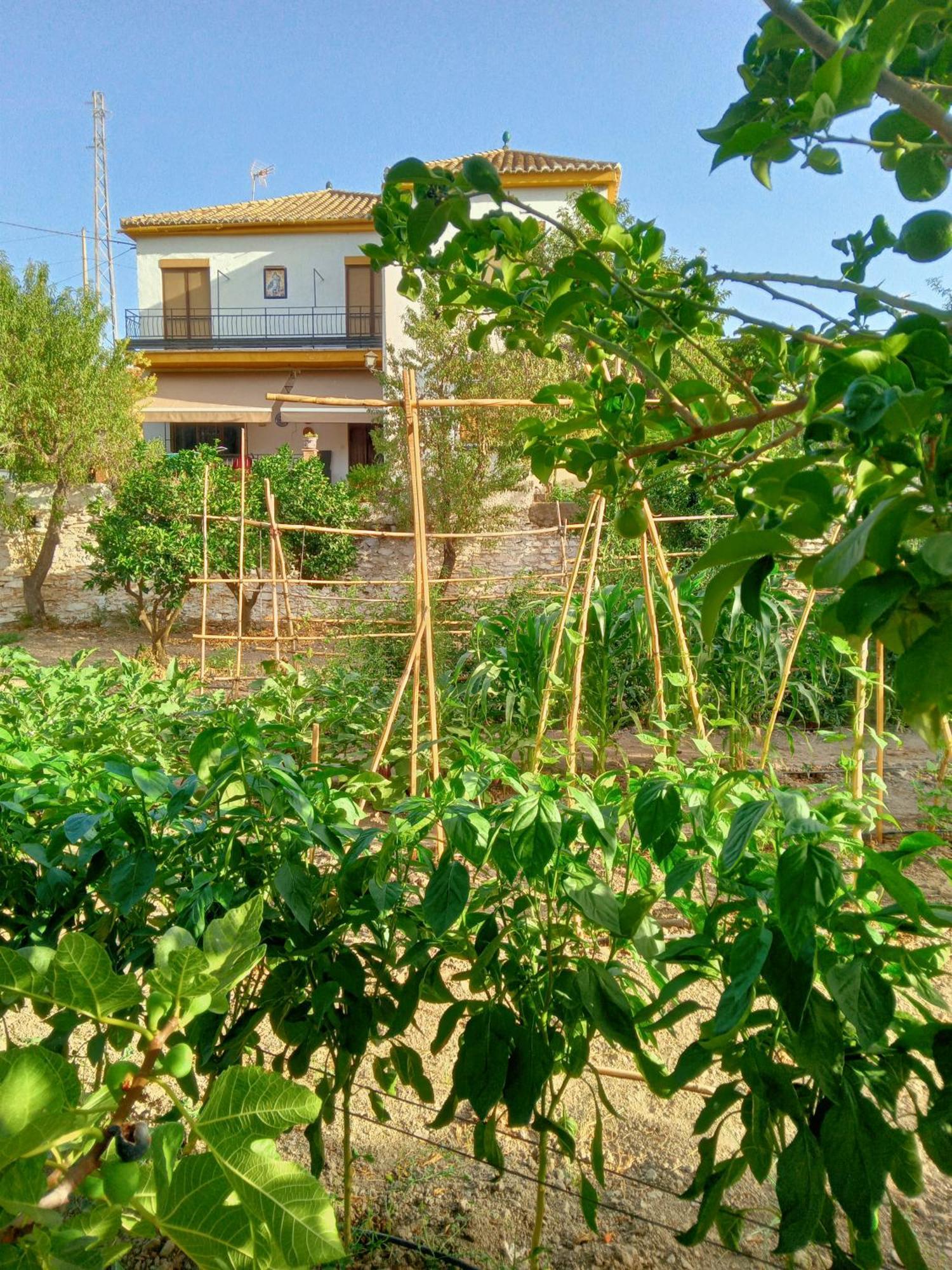 Vila Tuguest Hortichuela House Ugijar Exteriér fotografie